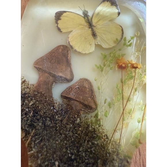 Vtg Acrylic Resin Lucite Trivet Set (2) + Spoon Rest + Wooden Mushroom Wall Art - Picture 12 of 16